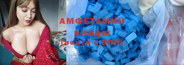 СК Дмитровск