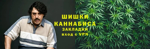 метадон Ельня