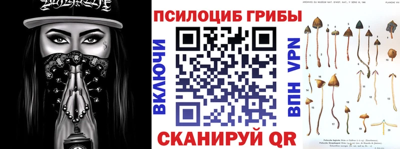 хочу наркоту  Миасс  Галлюциногенные грибы мицелий 